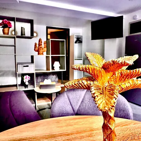 Calme Proche Centre Parking Gratuit Apartment